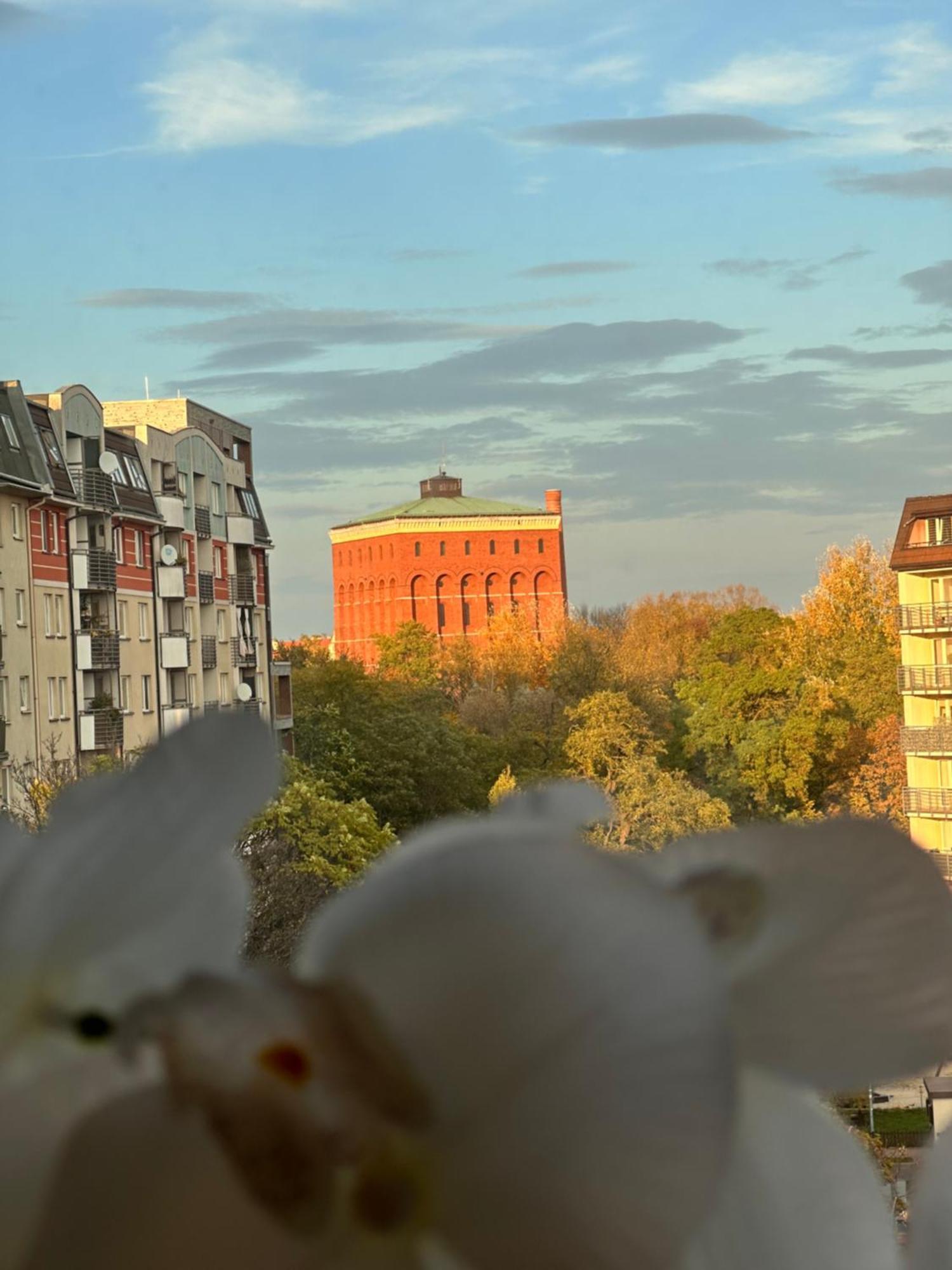 Apartament Diana - Traugutta *