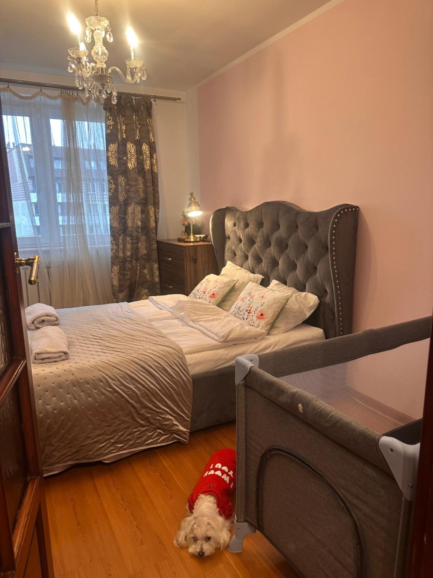 Diana - Traugutta Apartament